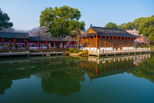 武漢東湖櫻花園春季風光
