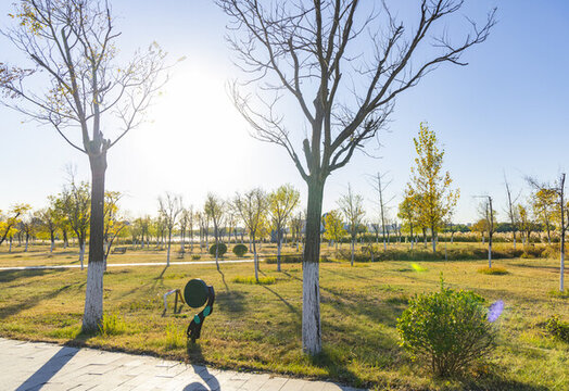天津武清南湖公園秋季景觀