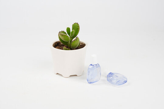 眼藥水