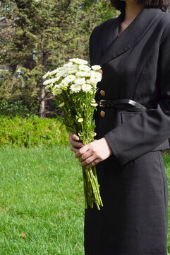 菊花哀悼