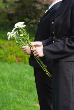 菊花哀悼