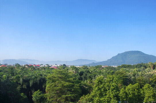 漳州園林苗圃基地