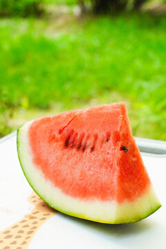 草地上的西瓜夏至立夏