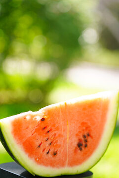 草地上的西瓜夏至立夏