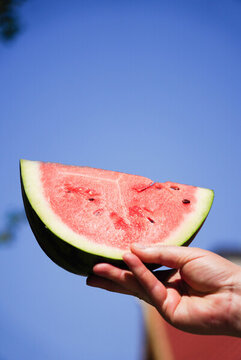 草地上的西瓜夏至立夏