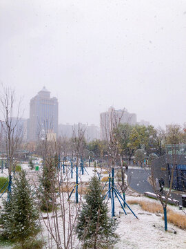 雁塔區(qū)小寨公園初雪