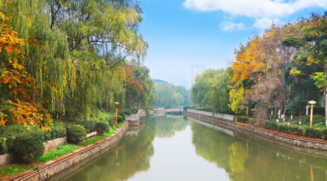 公園河塘