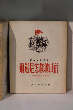 鋼鐵是怎樣煉成的書籍