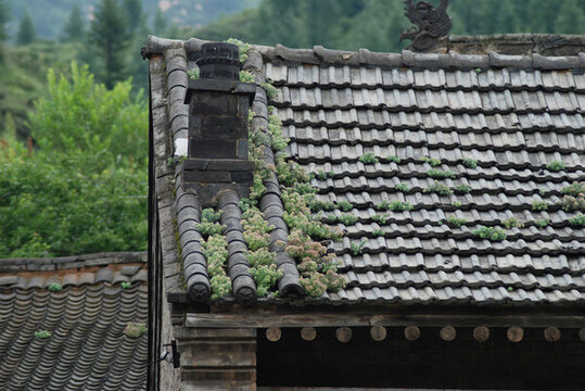 屋頂