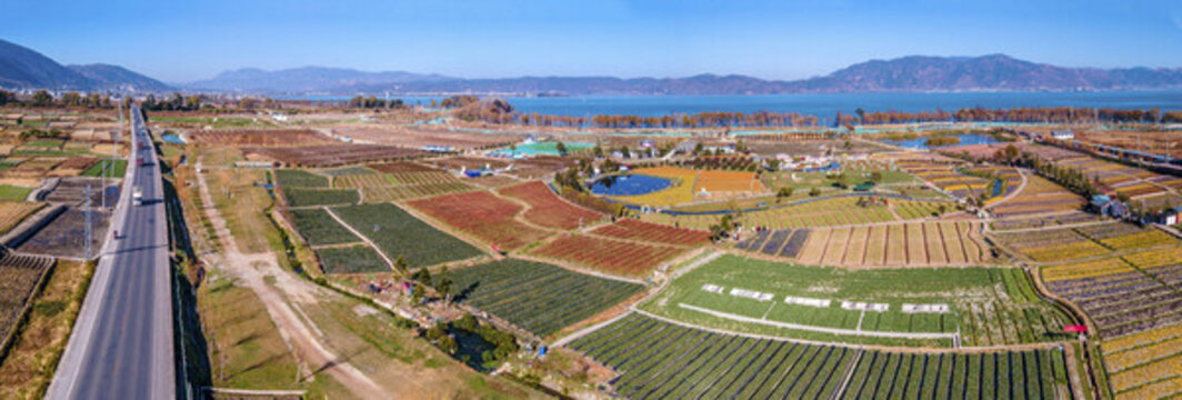 航拍大理田園風(fēng)光花木農(nóng)場全景