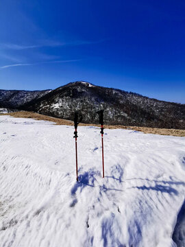 登老木垛山立在雪中的登山杖