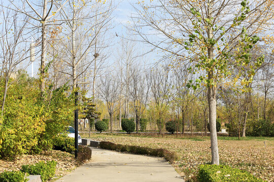公園步道