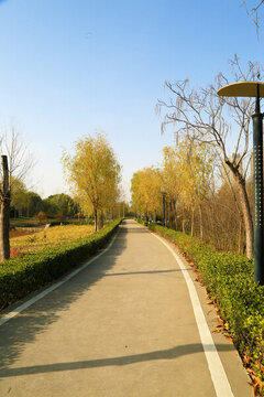 公園小路