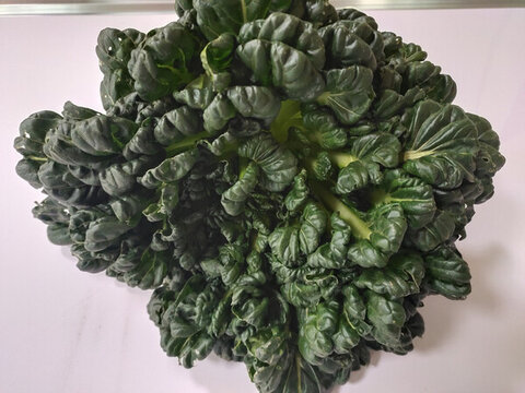 烏塌菜特寫
