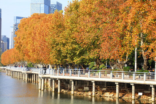 武漢水果湖公園