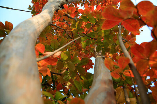多彩调色板秋天的颜色