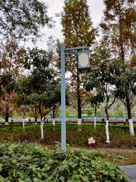 公園路燈