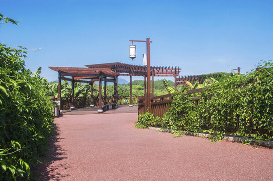 漳州香蕉海公園步道亭子