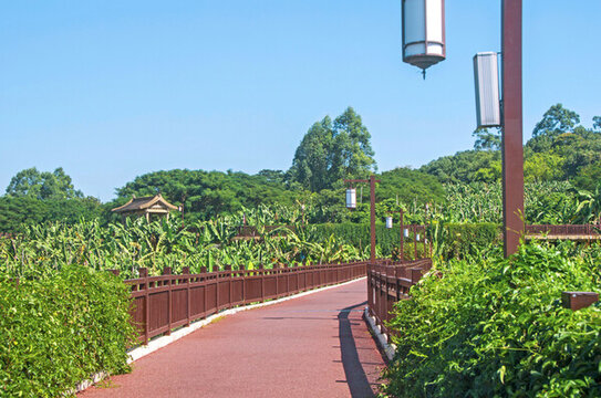漳州香蕉海生態(tài)公園景觀路