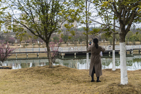 秋天公園風(fēng)景