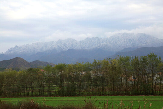 秦嶺山積雪