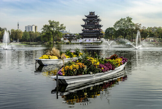 紫陽(yáng)公園的菊花船