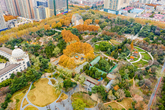 鄭州碧沙崗公園黃色綠色樹林