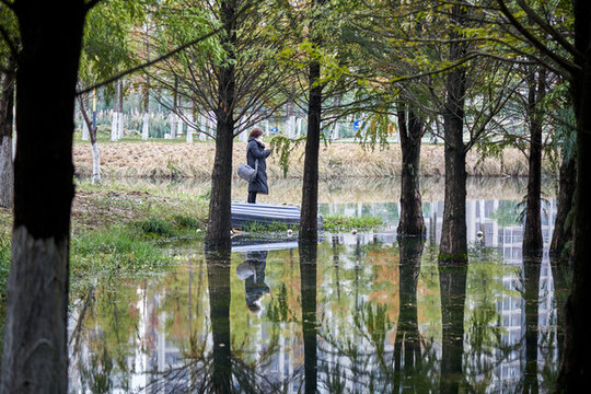 蕪湖江東水生態(tài)公園