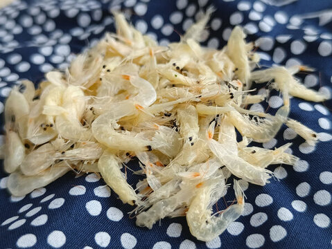 美食靜物小蝦米