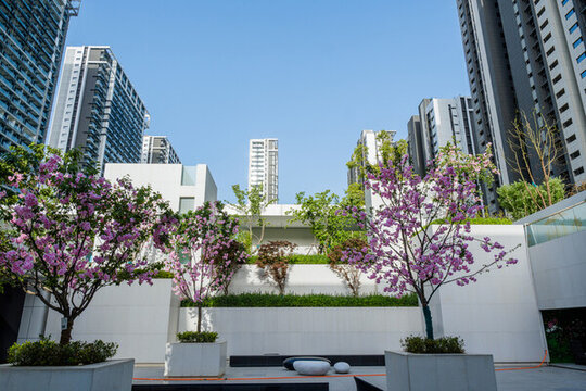 建筑外立面景觀