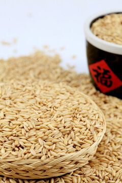 農(nóng)家燕麥米