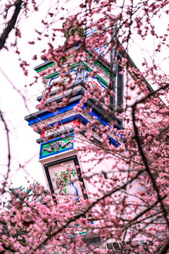 梅園