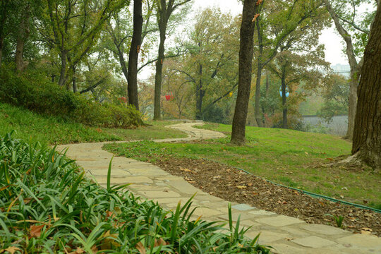 公園小路