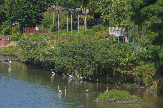 漳州江濱公園生態(tài)風(fēng)光