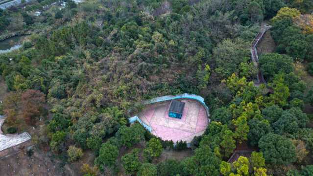 秋冬山前廣場的樹林