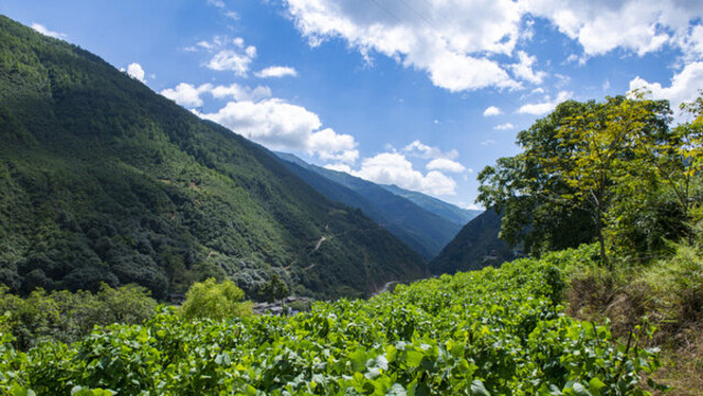 大理州劍川縣彌沙鄉(xiāng)彌井村高山