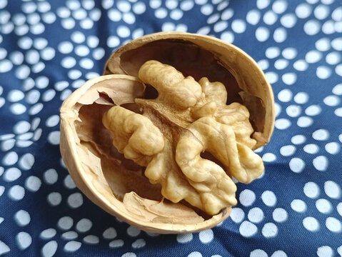 薄皮帶殼小核桃