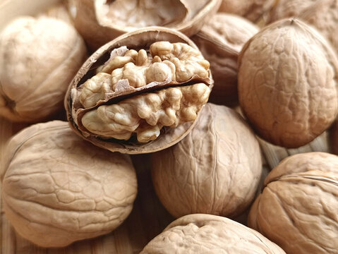 堅(jiān)果薄皮小核桃
