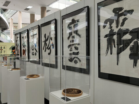 二十四節(jié)氣中藥