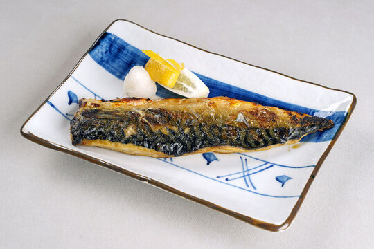 青花魚(yú)
