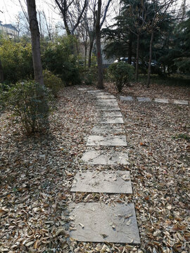林間石板路鋪滿落葉