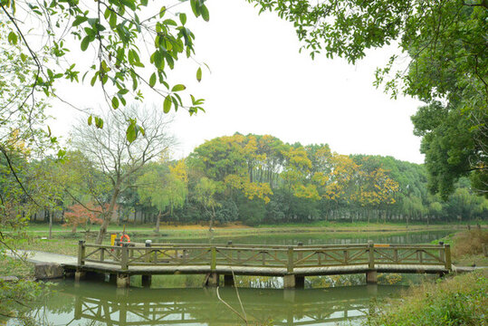 木質(zhì)橋