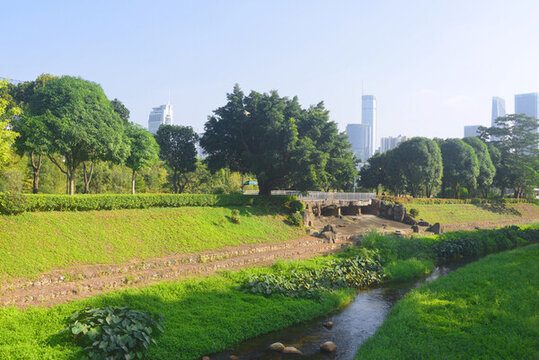深圳城市中心區(qū)福田河