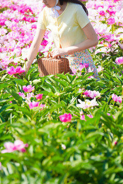 芍藥花田人像