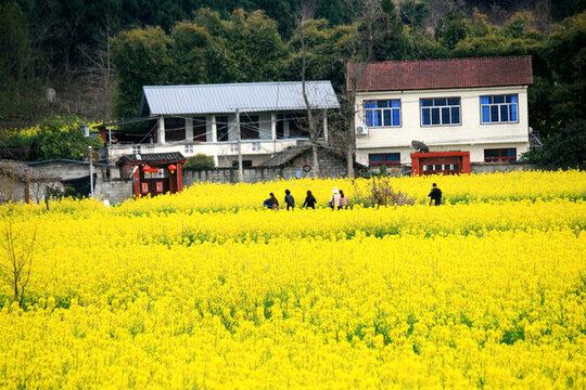 農(nóng)家田園