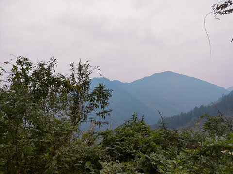 山