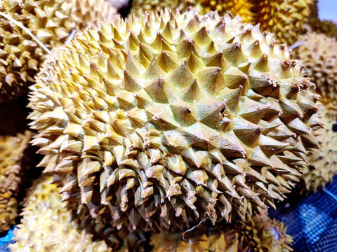 新鮮榴蓮