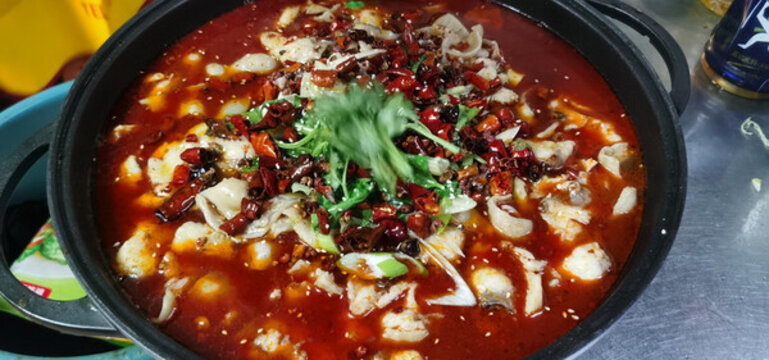 肥腸魚(yú)