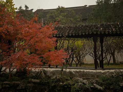 蘇州怡園