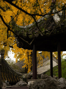 蘇州怡園